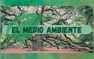 MEDIO AMBIENTE