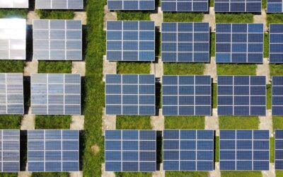 El papel crucial de las certificaciones de sostenibilidad en la diferenciación y competitividad empresarial