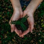 El impacto positivo de la etiqueta EU Ecolabel en productos promocionales sostenibles