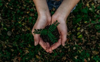 El impacto positivo de la etiqueta EU Ecolabel en productos promocionales sostenibles