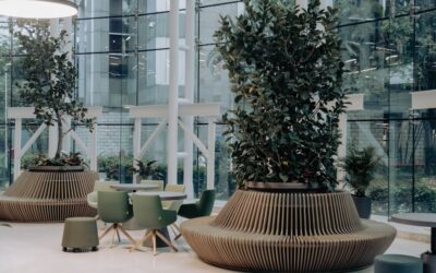 Los beneficios de implementar certificaciones ambientales en tu empresa