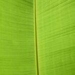 Cómo la certificación Made in Green de OEKO-TEX está cambiando el panorama de la producción textil